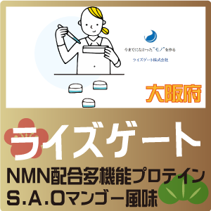 ライズゲート ライズゲート